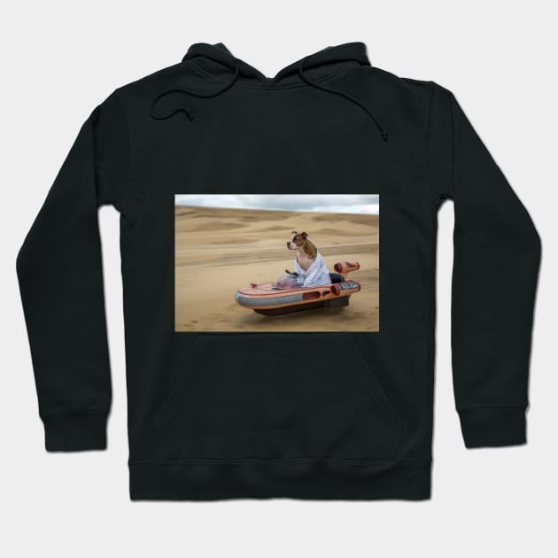 Joy Ride Hoodie by TeamPitCrewDogs